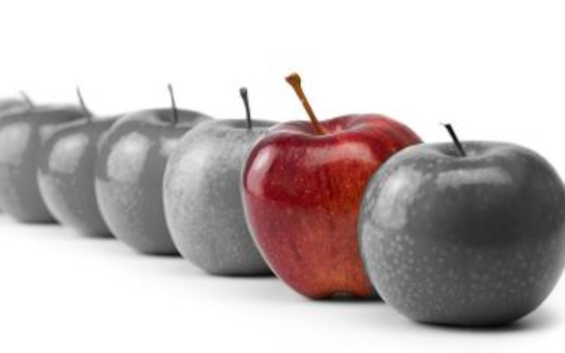 Malnutrition Care Score